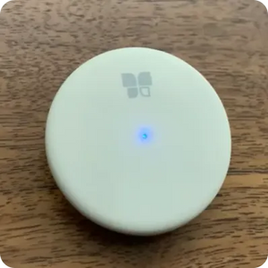 <strong>Blue Light</strong>