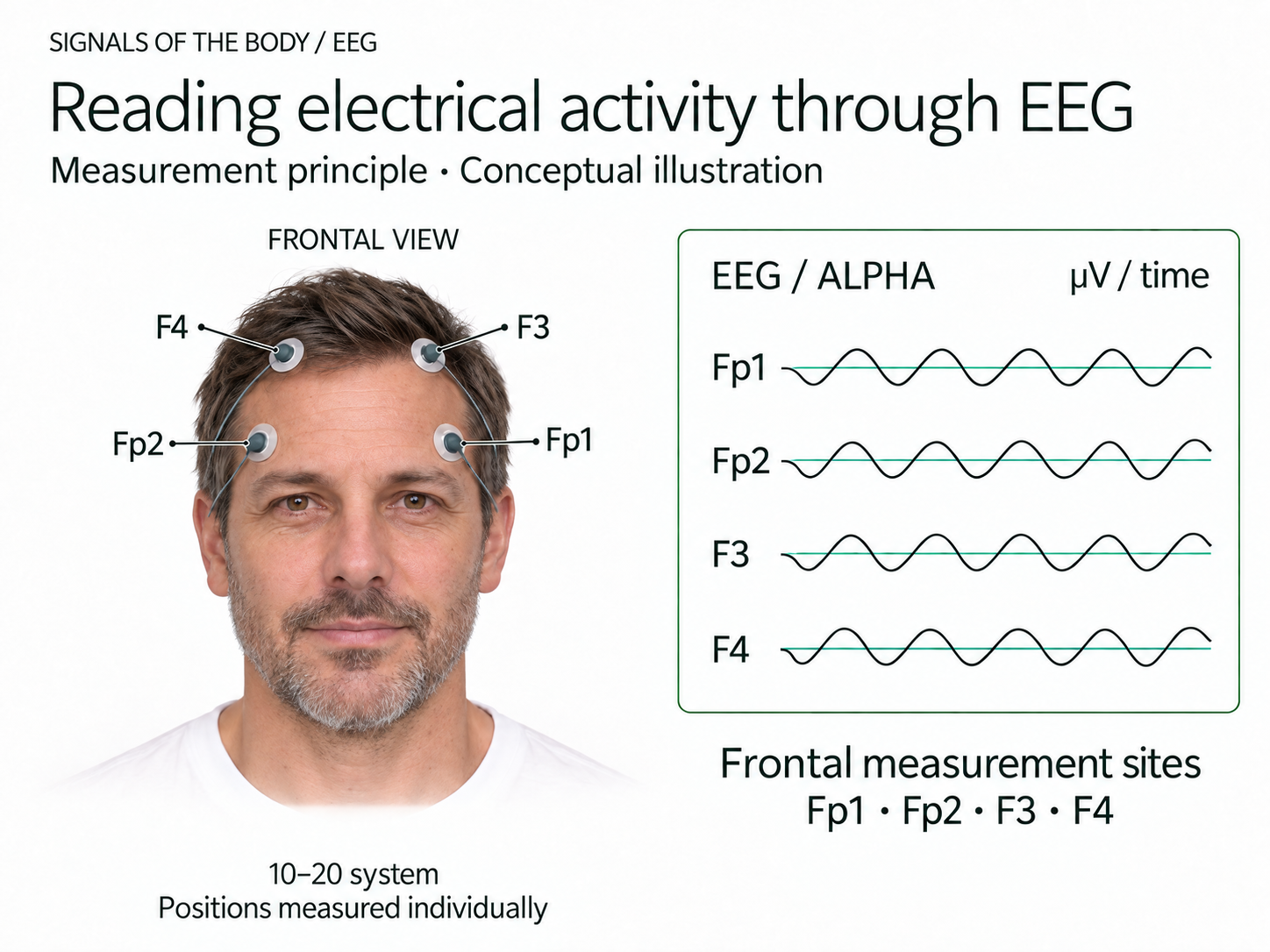 Conceptual illustration of frontal EEG measurement sites and brainwaves